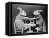 Radio Rabbits-null-Framed Stretched Canvas