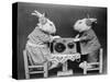 Radio Rabbits-null-Stretched Canvas