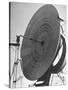 Radio Telescope Antennae Sitting at Naval Research Lab-Fritz Goro-Stretched Canvas