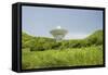 Radio Telescope near Point Udall, St. Croix-Macduff Everton-Framed Stretched Canvas