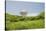 Radio Telescope near Point Udall, St. Croix-Macduff Everton-Stretched Canvas