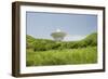 Radio Telescope near Point Udall, St. Croix-Macduff Everton-Framed Photographic Print