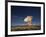 Radio telescopes at an Astronomy Observatory, New Mexico, USA-Maresa Pryor-Framed Photographic Print