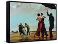 Framed Canvas
