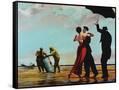 Framed Canvas