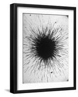 Radioactivity of Radium is Revealed by a Tiny Speck Showing the Tracks of Particles Emitted-Fritz Goro-Framed Photographic Print