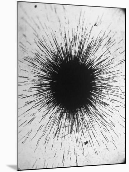 Radioactivity of Radium is Revealed by a Tiny Speck Showing the Tracks of Particles Emitted-Fritz Goro-Mounted Photographic Print
