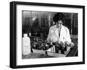 Radioactivity, Plants 60s-null-Framed Photographic Print