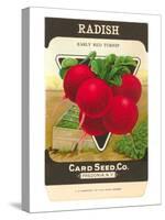 Radish Seed Packet-null-Stretched Canvas