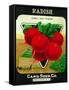 Radish Seed Packet-Lantern Press-Framed Stretched Canvas