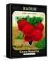 Radish Seed Packet-Lantern Press-Framed Stretched Canvas