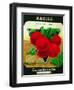 Radish Seed Packet-Lantern Press-Framed Art Print