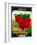 Radish Seed Packet-Lantern Press-Framed Art Print