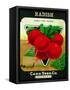 Radish Seed Packet-Lantern Press-Framed Stretched Canvas