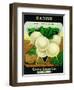 Radish Seed Packet-Lantern Press-Framed Art Print