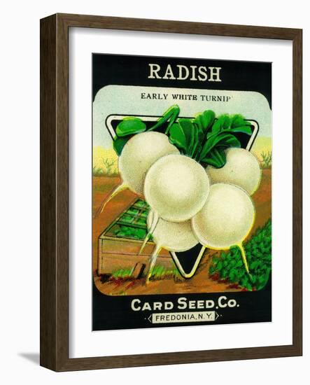 Radish Seed Packet-Lantern Press-Framed Art Print