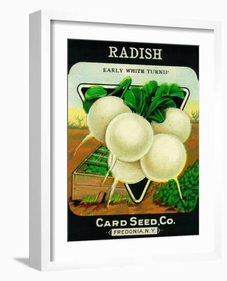 Radish Seed Packet-Lantern Press-Framed Art Print