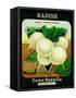 Radish Seed Packet-Lantern Press-Framed Stretched Canvas