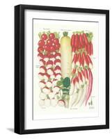 Radish-null-Framed Art Print