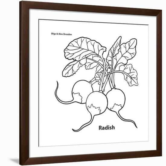 Radish-Olga And Alexey Drozdov-Framed Giclee Print