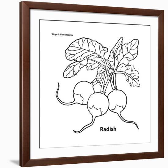 Radish-Olga And Alexey Drozdov-Framed Giclee Print