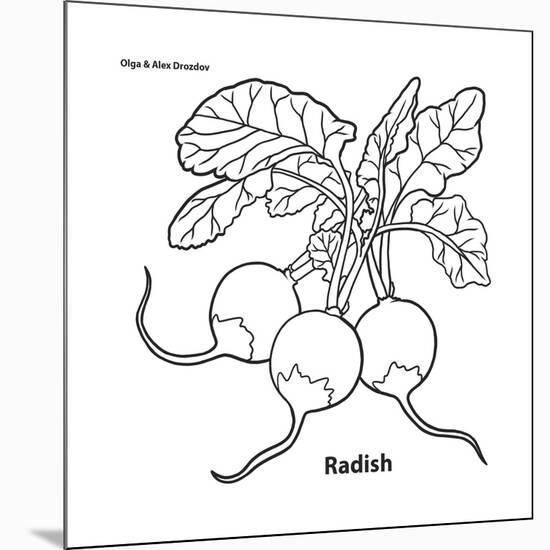 Radish-Olga And Alexey Drozdov-Mounted Giclee Print