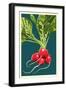 Radish-Lantern Press-Framed Art Print