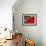 Radishes and Tomatoes on a Market Stall, France, Europe-Richardson Peter-Framed Photographic Print displayed on a wall