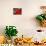 Radishes and Tomatoes on a Market Stall, France, Europe-Richardson Peter-Mounted Photographic Print displayed on a wall