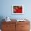 Radishes and Tomatoes on a Market Stall, France, Europe-Richardson Peter-Framed Photographic Print displayed on a wall