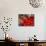 Radishes and Tomatoes on a Market Stall, France, Europe-Richardson Peter-Mounted Photographic Print displayed on a wall