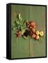 Radishes, Blackberries, Tomatoes and Nectarines-Louise Lister-Framed Stretched Canvas