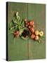 Radishes, Blackberries, Tomatoes and Nectarines-Louise Lister-Stretched Canvas