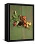 Radishes, Blackberries, Tomatoes and Nectarines-Louise Lister-Framed Stretched Canvas