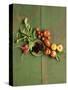 Radishes, Blackberries, Tomatoes and Nectarines-Louise Lister-Stretched Canvas