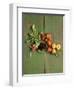 Radishes, Blackberries, Tomatoes and Nectarines-Louise Lister-Framed Premium Photographic Print