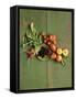 Radishes, Blackberries, Tomatoes and Nectarines-Louise Lister-Framed Stretched Canvas