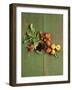 Radishes, Blackberries, Tomatoes and Nectarines-Louise Lister-Framed Photographic Print