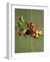 Radishes, Blackberries, Tomatoes and Nectarines-Louise Lister-Framed Photographic Print