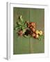 Radishes, Blackberries, Tomatoes and Nectarines-Louise Lister-Framed Photographic Print