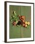 Radishes, Blackberries, Tomatoes and Nectarines-Louise Lister-Framed Photographic Print