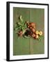 Radishes, Blackberries, Tomatoes and Nectarines-Louise Lister-Framed Photographic Print