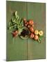 Radishes, Blackberries, Tomatoes and Nectarines-Louise Lister-Mounted Photographic Print