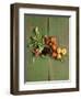 Radishes, Blackberries, Tomatoes and Nectarines-Louise Lister-Framed Photographic Print