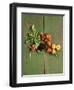 Radishes, Blackberries, Tomatoes and Nectarines-Louise Lister-Framed Photographic Print