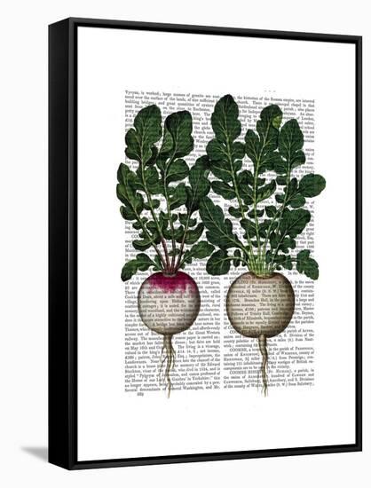 Radishes Print-Fab Funky-Framed Stretched Canvas