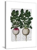 Radishes Print-Fab Funky-Stretched Canvas