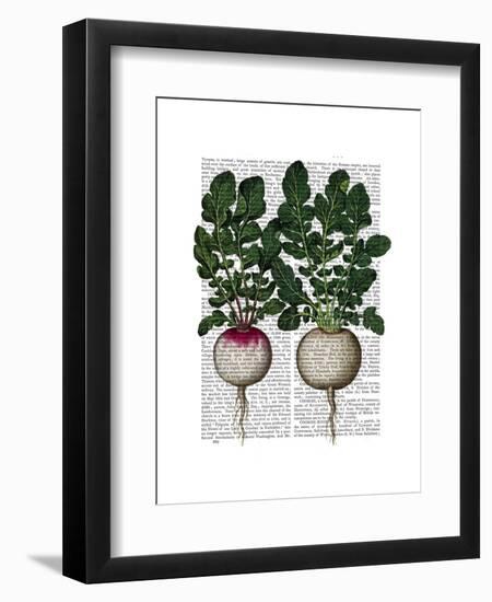 Radishes Print-Fab Funky-Framed Art Print