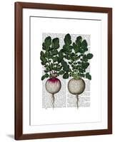 Radishes Print-Fab Funky-Framed Art Print