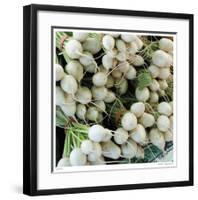 Radishes-Stacy Bass-Framed Giclee Print